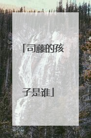 司藤的孩子是谁