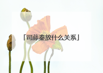 司藤秦放什么关系