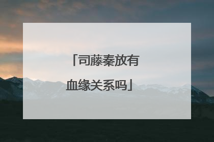 司藤秦放有血缘关系吗