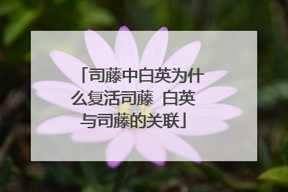 司藤中白英为什么复活司藤 白英与司藤的关联