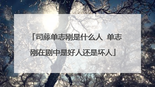 司藤单志刚是什么人 单志刚在剧中是好人还是坏人