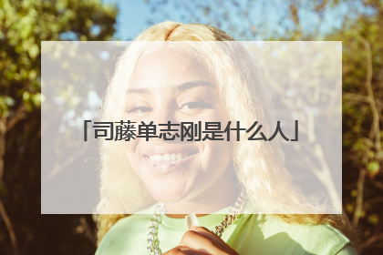 司藤单志刚是什么人