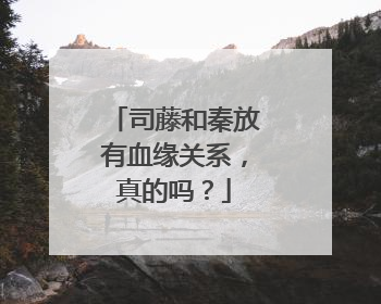 司藤和秦放有血缘关系，真的吗？