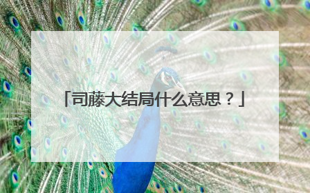 司藤大结局什么意思?