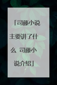 司藤小说主要讲了什么 司藤小说介绍