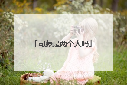 司藤是两个人吗