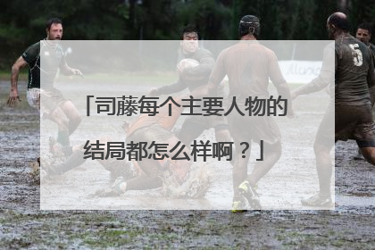 司藤每个主要人物的结局都怎么样啊？