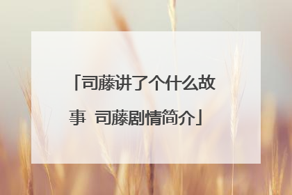 司藤讲了个什么故事 司藤剧情简介