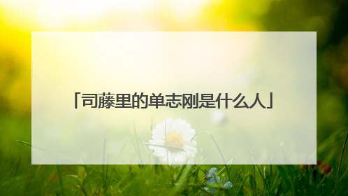 司藤里的单志刚是什么人