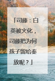 司藤：白英被火化，司藤把为何孩子留给秦放呢？