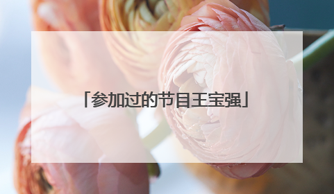 参加过的节目王宝强