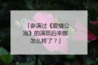 参演过《爱情公寓》的演员后来都怎么样了？