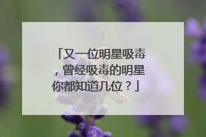 又一位明星吸毒,曾经吸毒的明星你都知道几位?