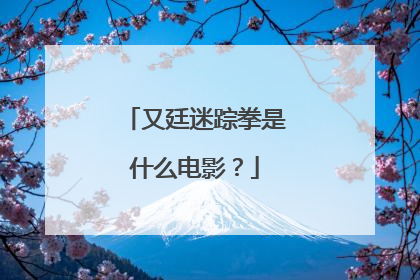 又廷迷踪拳是什么电影?