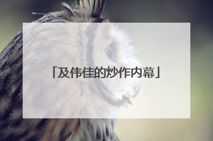 及伟佳的炒作内幕