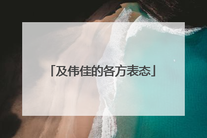 及伟佳的各方表态