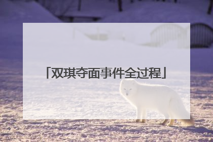 双琪夺面事件全过程