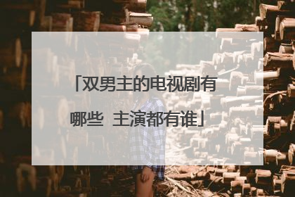 双男主的电视剧有哪些 主演都有谁