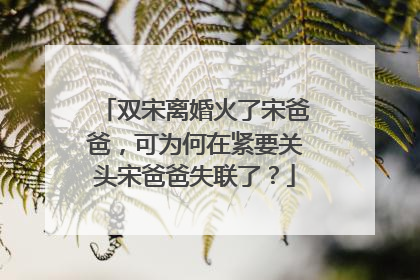 双宋离婚火了宋爸爸,可为何在紧要关头宋爸爸失联了?