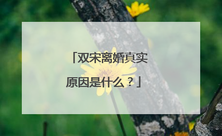 双宋离婚真实原因是什么？
