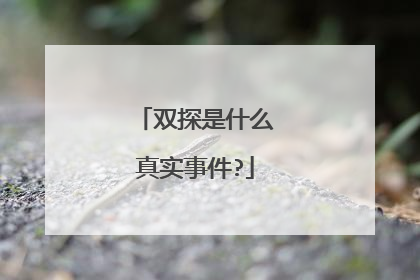 双探是什么真实事件?