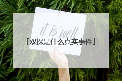 双探是什么真实事件