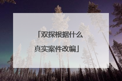 双探根据什么真实案件改编