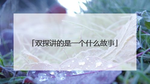 双探讲的是一个什么故事