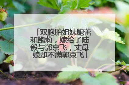 双胞胎姐妹鲍蕾和鲍莉，嫁给了陆毅与郭京飞，丈母娘却不满郭京飞