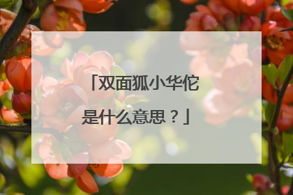 双面狐小华佗是什么意思?