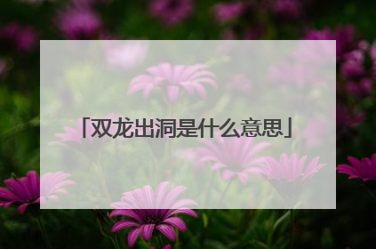 双龙出洞是什么意思