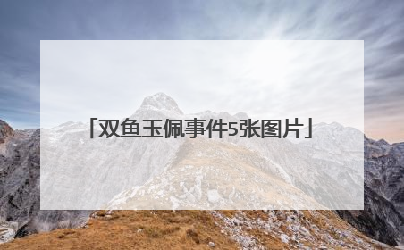 双鱼玉佩事件5张图片