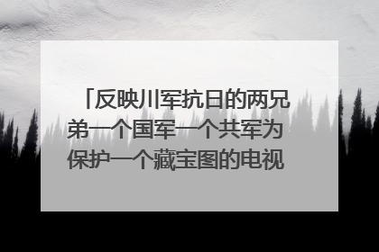 反映川军抗日的两兄弟一个国军一个共军为保护一个藏宝图的电视剧叫什么名字？