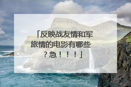 反映战友情和军旅情的电影有哪些？急！！！