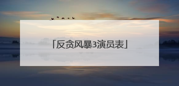 反贪风暴3演员表