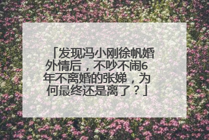 发现冯小刚徐帆婚外情后，不吵不闹6年不离婚的张娣，为何最终还是离了？