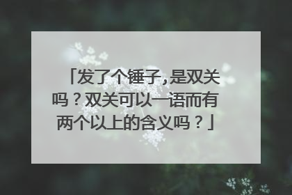 发了个锤子,是双关吗?双关可以一语而有两个以上的含义吗?