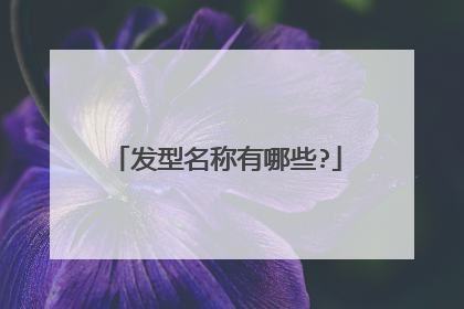 发型名称有哪些?