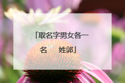 取名字男女各一名   姓郭