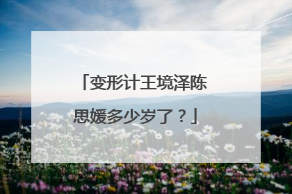 变形计王境泽陈思媛多少岁了?