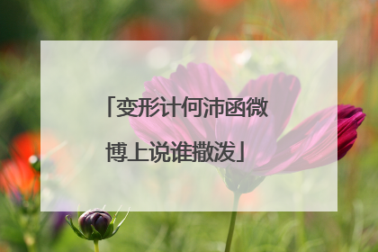 变形计何沛函微博上说谁撒泼