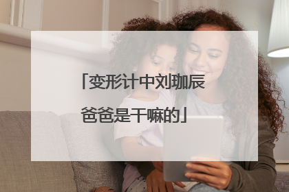 变形计中刘珈辰爸爸是干嘛的