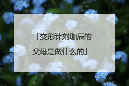 变形计刘珈辰的父母是做什么的