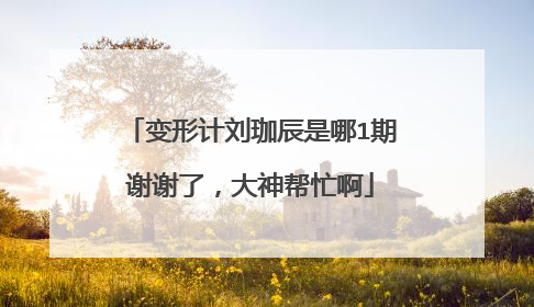 变形计刘珈辰是哪1期谢谢了,大神帮忙啊