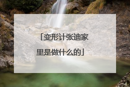 变形计张迪家里是做什么的