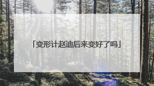 变形计赵迪后来变好了吗