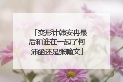 变形计韩安冉最后和谁在一起了何沛函还是张翰文