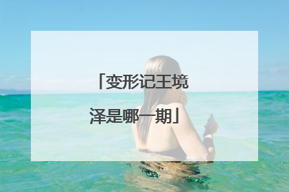 变形记王境泽是哪一期