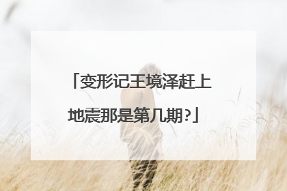 变形记王境泽赶上地震那是第几期?