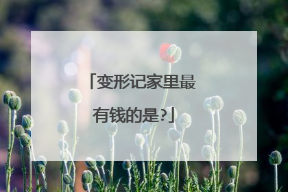 变形记家里最有钱的是?